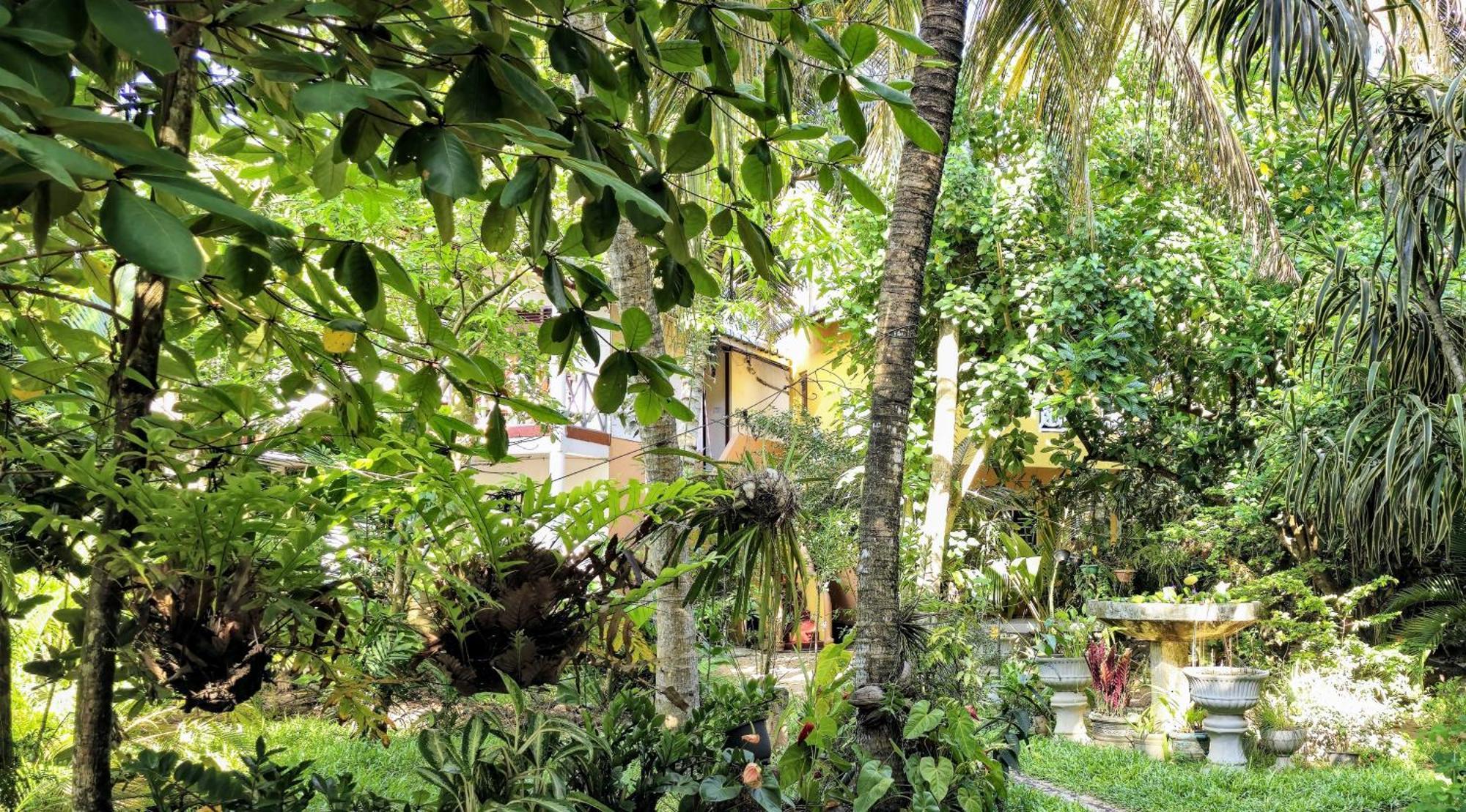 Seashore Mirissa Ngoại thất bức ảnh